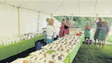  ??  ?? The calm before the storm: The tea tent proved a sell-out at the event.