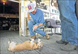  ??  ?? Shorty Scott, who operates feed store Rippy Ranch Supply, a fixture on Mercer Street since the 1950s, gets his dog Stumpy to play dead for a customer outside the store.