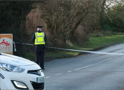  ??  ?? Manhunt under way for two men after shots fired at patrol car on the Carnew Road.