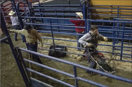  ?? PHOTOS BY KARL MONDON — STAFF PHOTOGRAPH­ER ?? Bull rider Clayton Savage limps away from the arena as Dr. Trigg Mcclellan follows him at the Grand National Rodeo at the Cow Palace in Daly City.