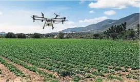  ??  ?? Agro. Es uno de los sectores más activos en uso de drones.