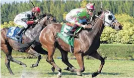  ?? COURTESY GULFSTREAM PARK/LESLIE MARTIN ?? Enterprisi­ng has been installed as the overwhelmi­ng early favorite in the 12-horse Soldier’s Dancer field today at Gulfstream Park.