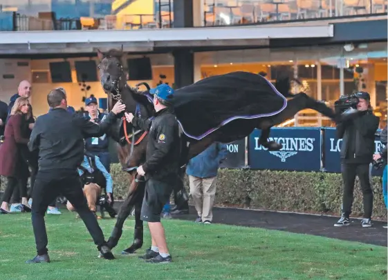  ?? Picture: TOBY ZERNA ?? Winx lashes out with her hind legs at Rosehill yesterday ahead of her final race in the Queen Elizabeth Stakes tomorrow.