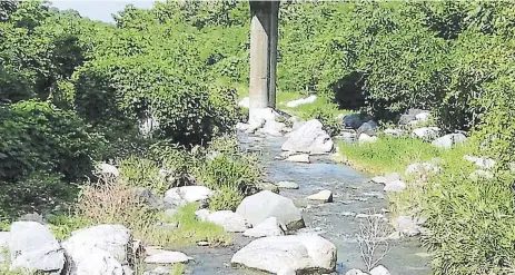  ??  ?? CAUCE. El río Pelo está completame­nte azolvado, es urgente su limpieza para evitar que las corrientes se desvíen hacia los costados.