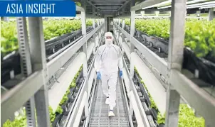  ??  ?? An employee walks past trays of lettuce growing at a vertical farming facility in Kyoto, Japan.