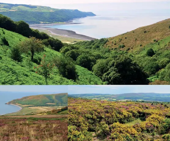  ??  ?? Cribyn & N escarpment from Pen y Fan [Captions clockwise from top] Glorious view west over Porlock Bay from the top of Lynch Combe, with Foreland Point in the far distance; Looking south from the colourful slopes of Selworthy Beacon to Dunkery Beacon, the highest point in Exmoor; The great sweep of Porlock Bay seen from the old coastguard station at
Hurlstone Point