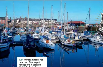  ??  ?? TOP: Arbroath harbour was once one of the largest fishing ports in Scotland. BELOW: Forfar Loch is a haven for wildfowl.