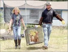  ?? LYNN KUTTER ENTERPRISE-LEADER ?? Carmen Nelson, director of Animal League of Washington County, and Chris Brumley, Lincoln’s animal control officer, seize dogs from a Lincoln residence on Highway 45 on Wednesday afternoon. The owner is facing multiple counts of felony and misdemeano­r animal cruelty charges.