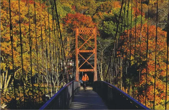  ?? (File Photo/AP/Robert F. Bukaty) ?? Fall foliage provides a colorful backdrop Oct. 29, 2021, as a bicyclist rides across the Swinging Bridge spanning the Androscogg­in River in Brunswick, Maine. The 2022 summer drought is expected to cause a patchy array of fall color in the leaf-peeping haven of New England.