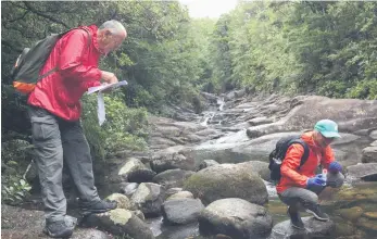  ??  ?? Basil and Kate Graeme conduct eDNA sampling in the Aongatete river. PHOTO: Supplied.