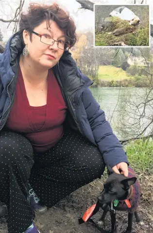  ?? PHOTO: ALEXIA JOHNSTON ?? Grim discovery . . . Cass Jack reflects on her gruesome find after discoverin­g numerous dead carcasses (inset) floating in the Clutha River while walking her dog in Alexandra.