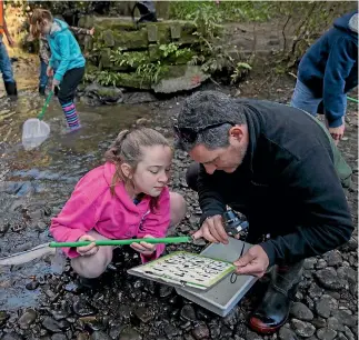  ?? PHOTO: MURRAY WILSON/STUFF ?? Kendra Herdman and teacher Matt Murphy see how clean the Turitea Stream is at Bledisloe Park in Palmerston North.