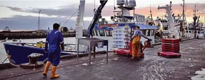  ??  ?? Vital British industry...trawler fishermen unload their catch at the Peterhead fish market, in Aberdeensh­ire