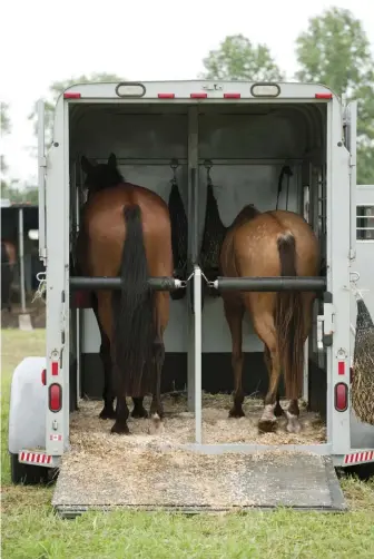  ??  ?? a small two-horse trailer will have the lowest gross trailer weight rating.