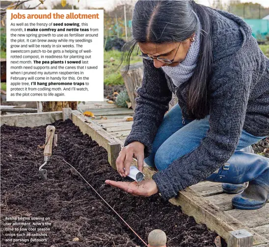  ??  ?? Rekha begins sowing on her allotment. Now’s the time to sow cool season crops such as radishes and parsnips outdoors