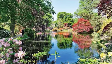  ??  ?? Natural delights: Exbury Gardens, four miles from Beaulieu, is celebratin­g its centenary