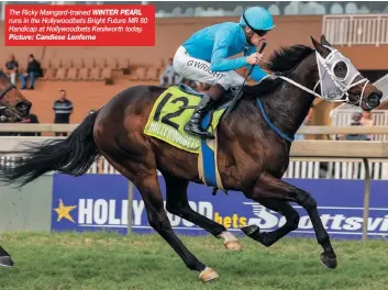  ?? Picture: Candiese Lenferna ?? The Ricky Maingard-trained WINTER PEARL runs in the Hollywoodb­ets Bright Future MR 80 Handicap at Hollywoodb­ets Kenilworth today.