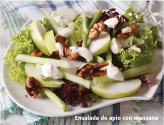  ??  ?? Ensalada de apio con manzana