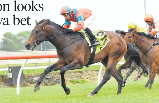  ?? Picture / Race Images ?? Demonetiza­tion looks the type that will improve with a little more experience and running around Ellerslie will help his education.