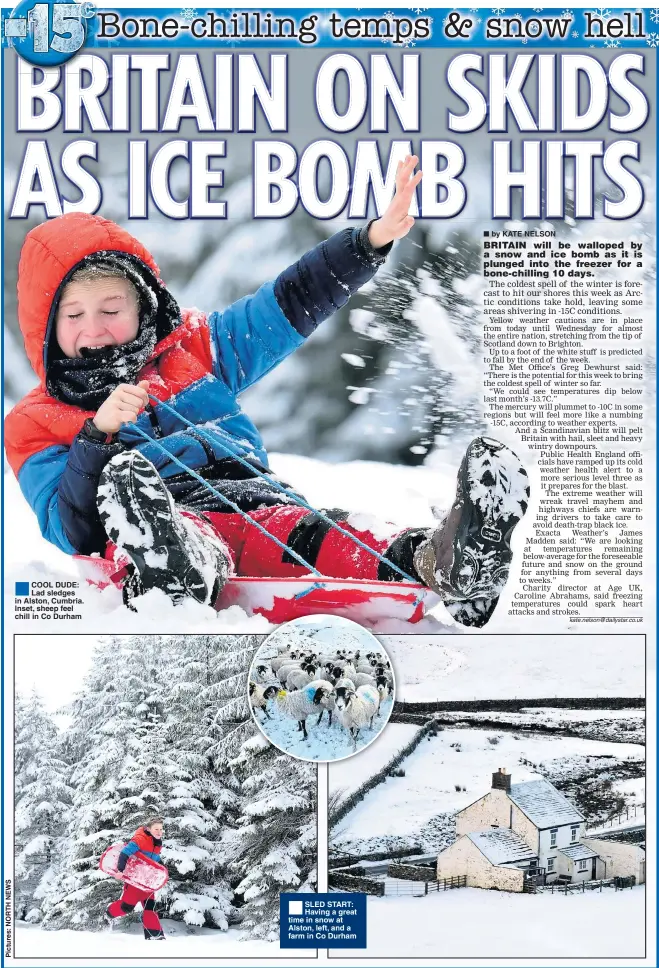  ??  ??    COOL DUDE: Lad sledges in Alston, Cumbria. Inset, sheep feel chill in Co Durham    SLED START: Having a great time in snow at Alston, left, and a farm in Co Durham