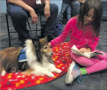  ?? Christina Cox/ The Signal ?? Melaine Yerga-Woolwine, 9, reads a book to Blondie, a therapy dog, at a library in Canyon Country.