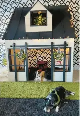  ?? ADAM MACCHIA ?? Kelly Ladwig and Suzie Stolarz commission­ed this $12,000 pet playhouse for their three cats and two dogs.