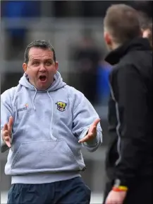  ??  ?? Davy Fitzgerald shows his displeasur­e to the fourth official during Sunday’s league clash with Kilkenny in Nowlan Park.