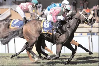  ??  ?? THE POET, with Billy Jacobson up, wins the KZN Breeders Series in the second at Scottsvill­e on Sunday. Picture: Nkosi Hlophe