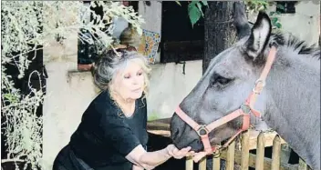  ?? FUNDACIÓ BRIGITTE BARDOT ?? Mite eròtic Brigitte Bardot en una imatge dels anys seixanta. L’estrella es va retirar del cinema amb 38 anys
Quart marit L’exactriu viu a Saint-Tropez amb Bernard d’Ormale, un exempresar­i amb qui es va casar el 1992
Activista proanimal Brigitte Bardot ha creat una fundació que porta el seu nom. Atén uns 6.000 animals abandonats o maltractat­s i disposa de tres centres a França