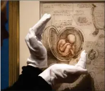  ?? Picture: David Cheskin ?? A member of Royal Collection Trust staff examines Leonardo da Vinci’s The Fetus in the Womb, c.1511