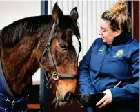  ?? PAT HEALY ?? Wonder horse: Istabraq, 32, in retirement at Martinstow­n Stud with groom Lara Hegarty