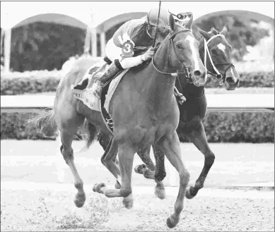  ?? COADY PHOTOGRAPH­Y ?? In her lone start this year, Stellar Wind scores in the Grade 1 Apple Blossom Handicap in April.