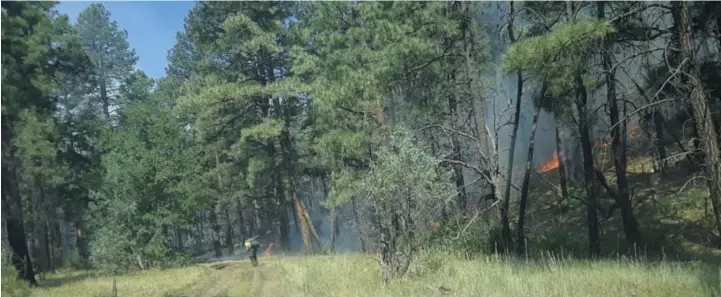  ??  ?? Photo by resident Pat Martinez, who said the fire is 7.5 miles west of La Jara Road in Chilili.