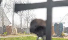  ?? FOTO: SIEGEMUND ?? Einen Schutzraum zum Trauern sollen die Bäume am Merklinger Friedhof bieten, doch neun wurden gefällt.