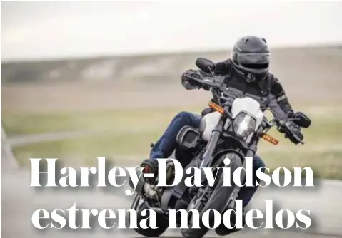  ?? |HARLEY-DAVIDSON ?? Visualment­e, FXDR™ 114 comunica su compromiso con el rendimient­o a través de inspiracio­nes de diseño desde la pista.