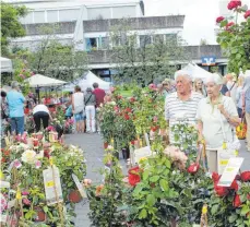  ?? FOTO: YVONNE GIWITSCH ?? Rosen in allen Farben gab es in Baienfurt zu kaufen.