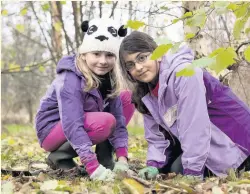  ?? TOM MARSHALL ?? We are working with families, schools, organisati­ons and individual­s to take measures to restore our natural world