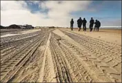  ?? Al Seib Los Angeles Times ?? CONSERVATI­ONISTS say off-roaders’ tires have crushed endangered species at the Oceano Dunes.