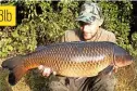  ??  ?? THIS 23lb common was taken by Aiden Sharpe, from Ipswich, during an overnight session at a local day-ticket lake. 23lb