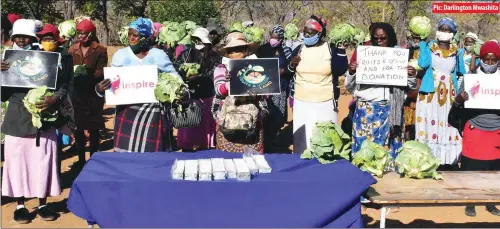  ??  ?? Pic: Darlington Mwashita
Villagers from Umguza district in ward 17, Matabelela­nd North province, posing for a picture holding cabbages donated by Fruits and Veggie Land Shop at Maraposa Primary School on Wednesday