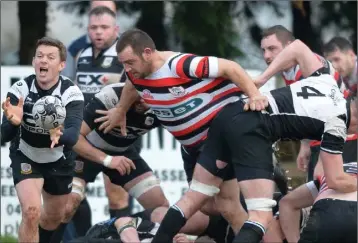  ??  ?? The Enniscorth­y pack moves in as Dundalk’s Mike Walls releases the ball to his back line.