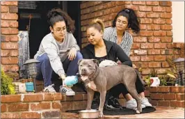  ?? Carolyn Cole Los Angeles Times ?? NAMIKO ISHII-DANGANAN, center, and daughters Miya, left, and Ami Ishii stepped up to foster Sky, a year-old pit bull, at their home in Downey.