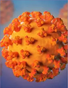  ??  ?? A corona virus is typically ball-shaped with often elaborate spikelike projection­s.