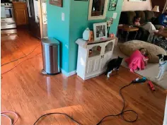  ?? Kyla Awalt via AP ?? ■ Chole Awalt, front, and her brother Colton Awalt sit on the couch Sunday while electrical cords are seen running through the house from a generator outside during Pacific Gas and Electric’s shutoff in Paradise, Calif.