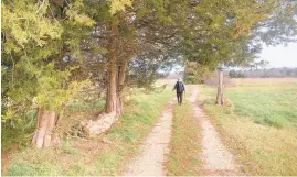  ??  ?? White walks down a country lane reminiscen­t of the English countrysid­e.