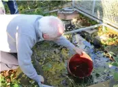  ??  ?? Councillor Steve Beasant starts draining the pond after 10 fish were killed at the Buffalo Bill Pocket Park, Grant Thorold Park in Grimsby.