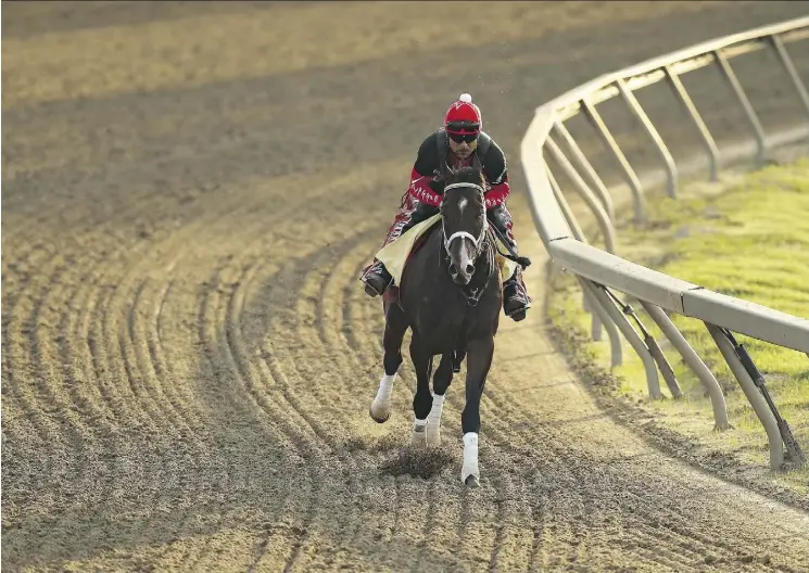  ?? PATRICK SMITH/GETTY IMAGES ?? Classic Empire trains at Baltimore’s Pimlico Race Course on Thursday ahead of Saturday’s Preakness Stakes. Pimlico has been the home of the Preakness for the last 108 years, though the decrepit state of the track has some suggesting the race should be...