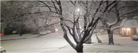  ?? LORRAINE SOMMERFELD ?? The snowy view out of Lorraine Sommerfeld’s window on Christmas Eve.