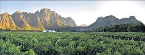  ??  ?? A panoramic view over the Holden Manz vineyards. Right: The Delaire cellar on Helshoogte Pass. Below right: Simonsberg from Delaire Graff Estate.