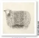  ??  ?? sheep print
  yMfcgco Drofgco cy rofmlog   ncof. drm,   trm$ 189